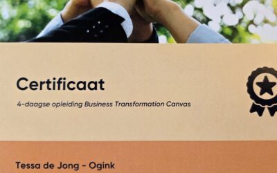Business Transformatie Canvas: integraal kijken naar verandering